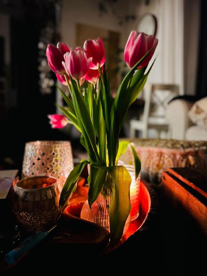 Apartament Schlafen Im Atelier - Einzigartiges Gaestezimmer Am Ammersee Schondorf am Ammersee Zewnętrze zdjęcie